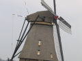 kinderdijk 1.jpg