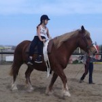 Equitation au Poney Club de la Buissonnière