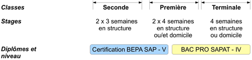 Stages du Bac Pro SAPAT