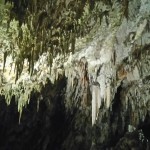 Grottes de Postojna - Slovénie